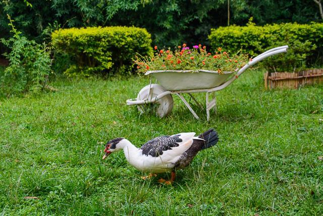 Pousada Luar Do Sertao Valenca  Bagian luar foto